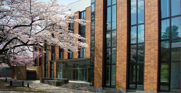 Universitas Tohoku
