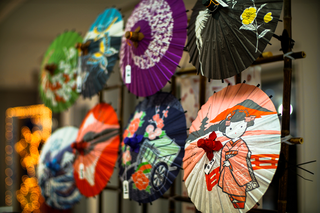 Wagasa japanese traditional umbrella