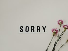 quiz-apology-language