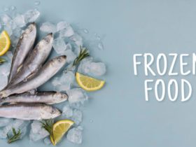modal-usaha-frozen-food