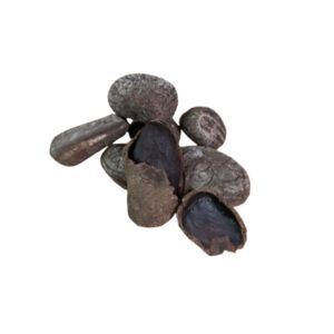 pangium seeds